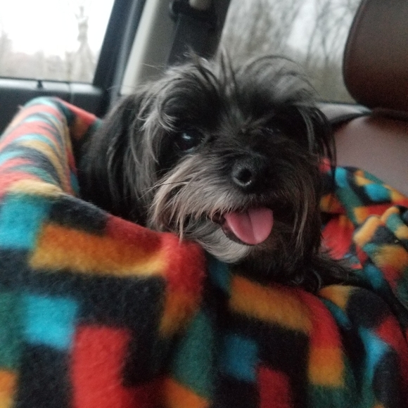 Meet your Posher, Sarah - Picture 4 of 4